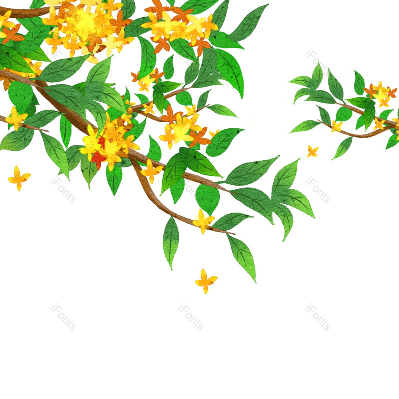 夏天图片,花朵素材元素,彩色PNG,夏天元素免抠素材